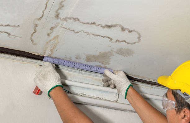 Reliable Structural Drying contractor in Belpre, OH by Water Damage Irwin